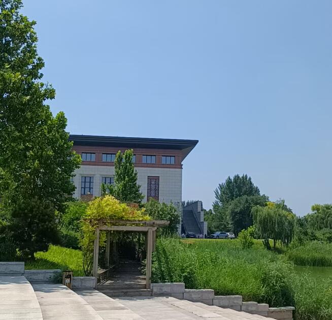 濮阳考察现场实拍 (2).jpg